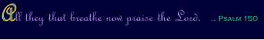 All they that breathe now praise the Lord.  - Psalm 150